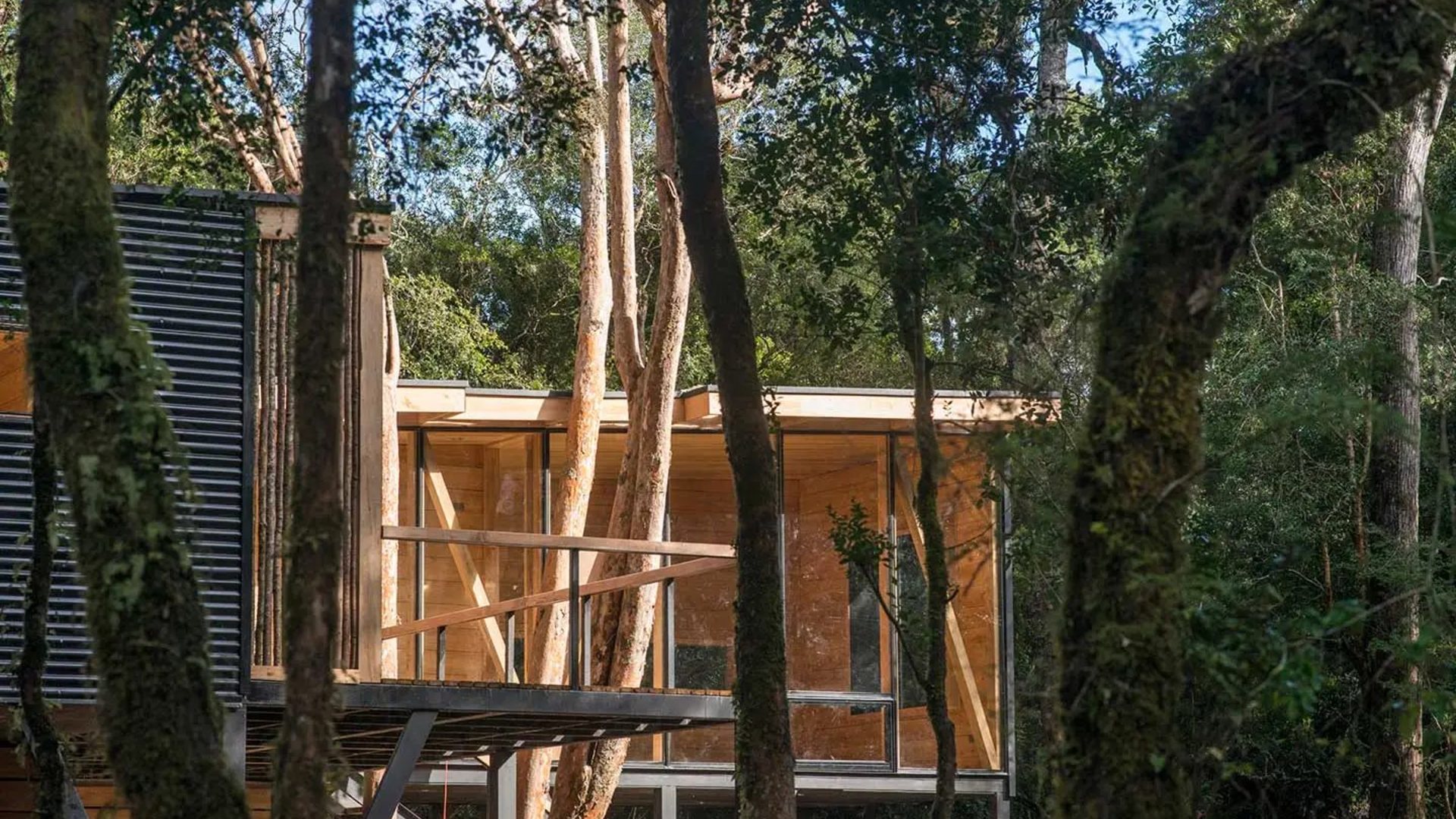 Casa Lilen — vivienda en madera entre bosque nativo, Nueva Braunau