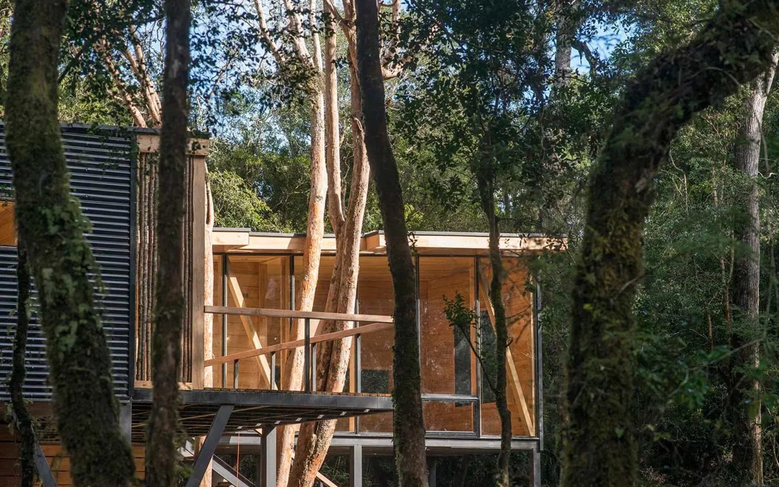Casa Lilen — vivienda de 144 m² sobre pilotes entre bosque nativo